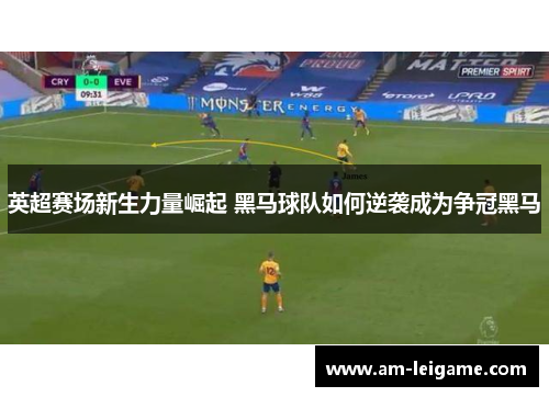 英超赛场新生力量崛起 黑马球队如何逆袭成为争冠黑马 英超赛场新生力量崛起 黑马球队如何逆袭成为争冠黑马