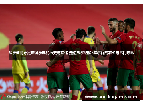 探索葡萄牙足球俱乐部的历史与文化 走进贝尔纳多·席尔瓦的家乡与名门球队