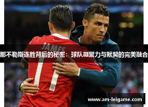 那不勒斯连胜背后的秘密:球队凝聚力与默契的完美融合 那不勒斯连胜背后的秘密:球队凝聚力与默契的完美融合